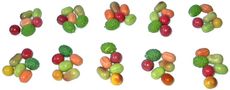 W-Früchte-10x6.jpg